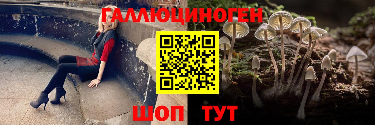 Галлюциногенные грибы ЛСД Светлоград